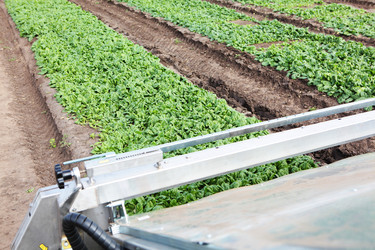 Similar image 22590442