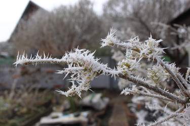 Similar image 22577766