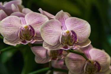 Similar image 22585343