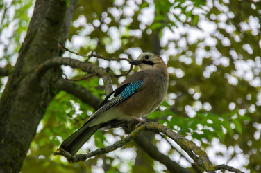 Similar image 22578789