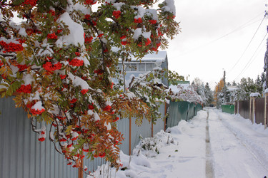 Similar image 22577767