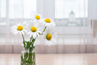 Similar image 22584094