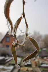 Similar image 22577768