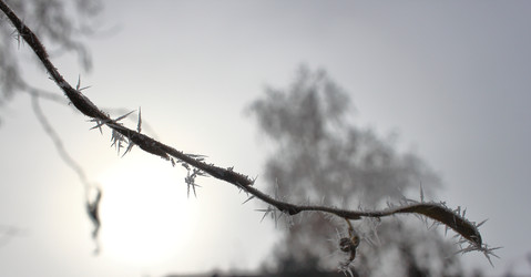 Similar image 22577769