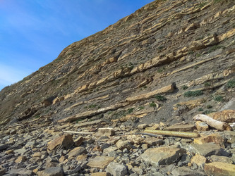 Similar image 22582034