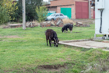 Similar image 22585245