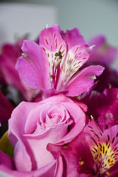 Similar image 22594778