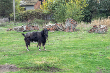 Similar image 22585246