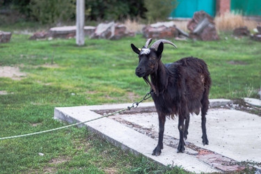 Similar image 22585247