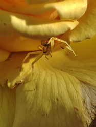 Similar image 22582019