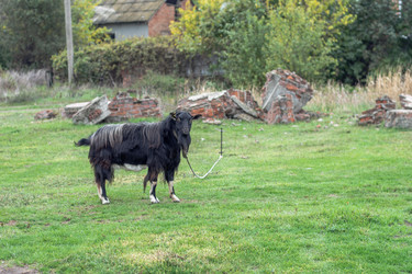 Similar image 22585249