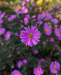 Similar image 22585250