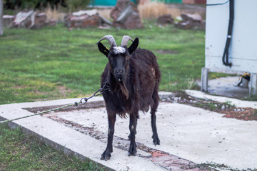 Similar image 22585252