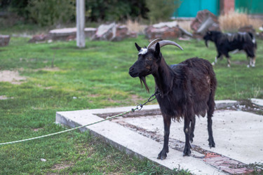 Similar image 22585255