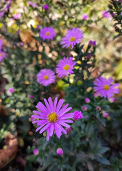 Similar image 22585256