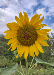 Similar image 22585260