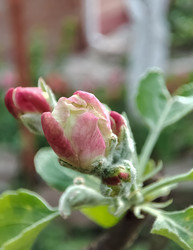 Similar image 22582042