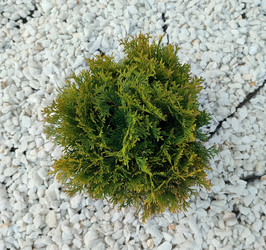 Similar image 22582045