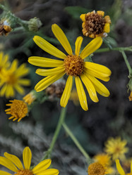 Similar image 22582050