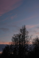 Similar image 22580095