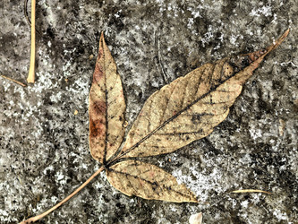 Similar image 22577384