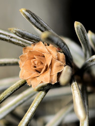 Similar image 22577408