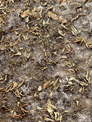 Similar image 22577409