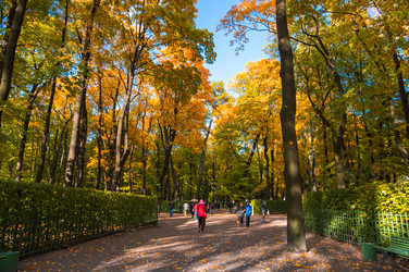 Similar image 22578617