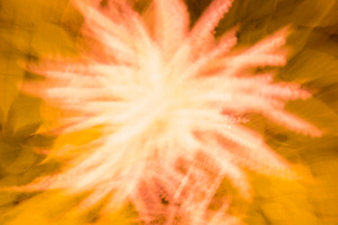 Similar image 22578619