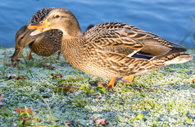 Similar image 22578636