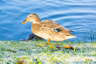 Similar image 22578678