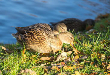 Similar image 22578689