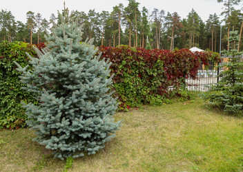 Similar image 22577366