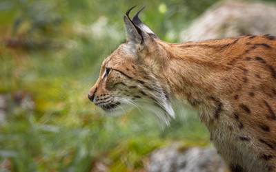 Similar image 22577881