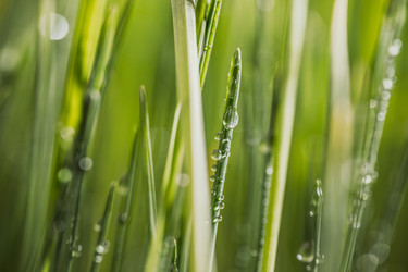 Similar image 22577882