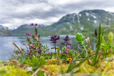 Similar image 22577883