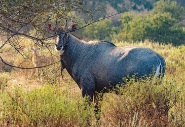 Similar image 22577897