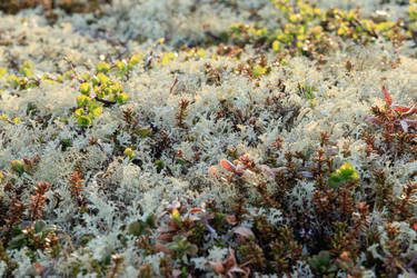 Similar image 22577903