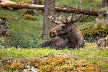 Similar image 22577909