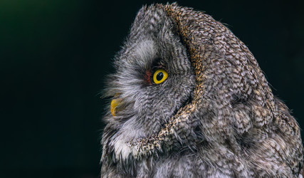 Similar image 22577910