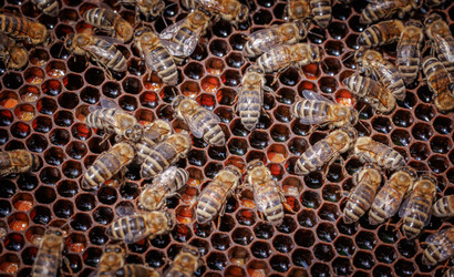 Similar image 22577914