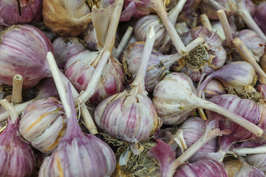 Similar image 22577917