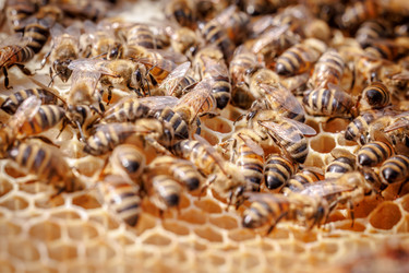 Similar image 22577918