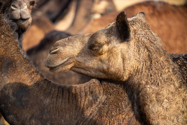 Similar image 22577932