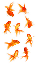 Similar image 22577935