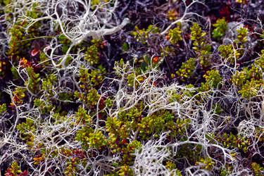 Similar image 22580241