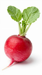 Similar image 22581950