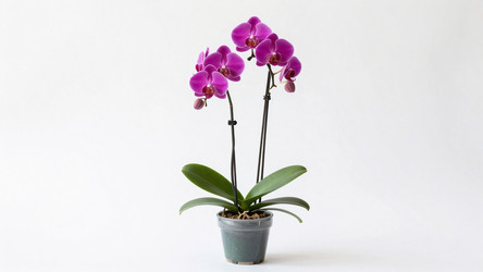 Similar image 22581958