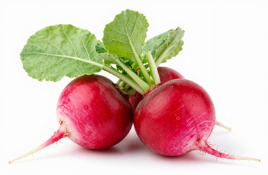 Similar image 22581964