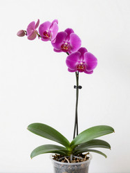 Similar image 22581966